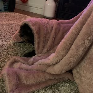 Meet your Posher, Rachel